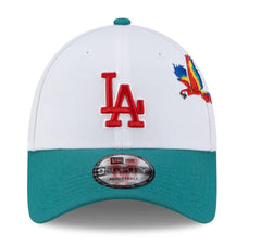 Los Angeles Dodgers Honduras City Elements 9FORTY Snapback