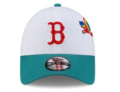 Men Boston redsox Honduras city element hat