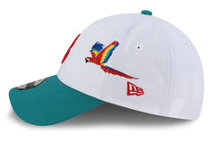 Boston Red Sox Honduras City Elements 9FORTY Snapback